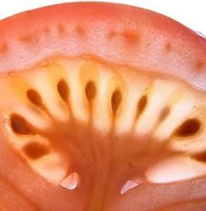 7 Brain Boosting Foods for Study